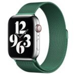 WatchBand Steel Mesh - Image 9