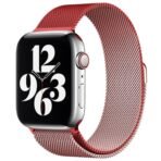 WatchBand Steel Mesh - Image 20